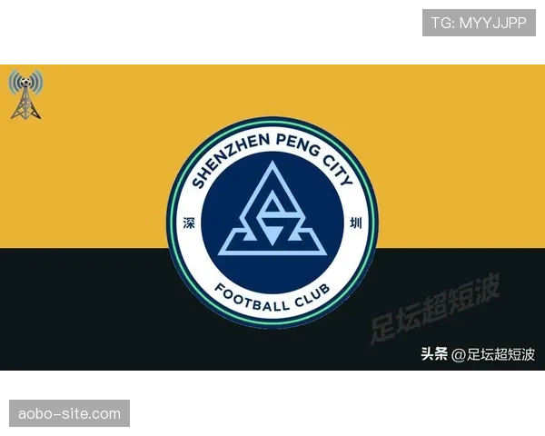 新鹏城磨合期数据波动，本科维奇与防线默契度仅65%